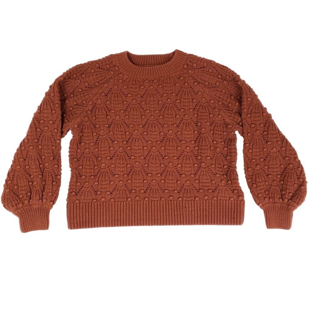 Anthropologie Rust Crew Neck Sweater